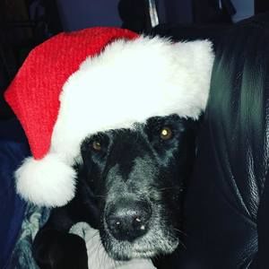 Meet your Posher, Dylan